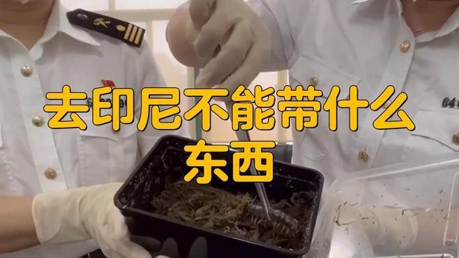 去印尼旅游可以帶龍魚回來嗎（去印尼旅游可以帶龍魚回來嗎，）