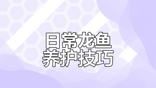 龍口觀賞魚批發市場，龍口市觀賞魚批發市場