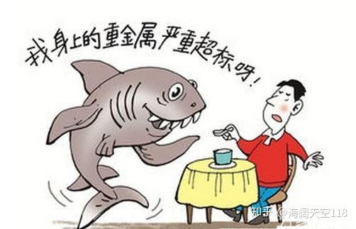 菠蘿魚對金龍魚有影響嗎