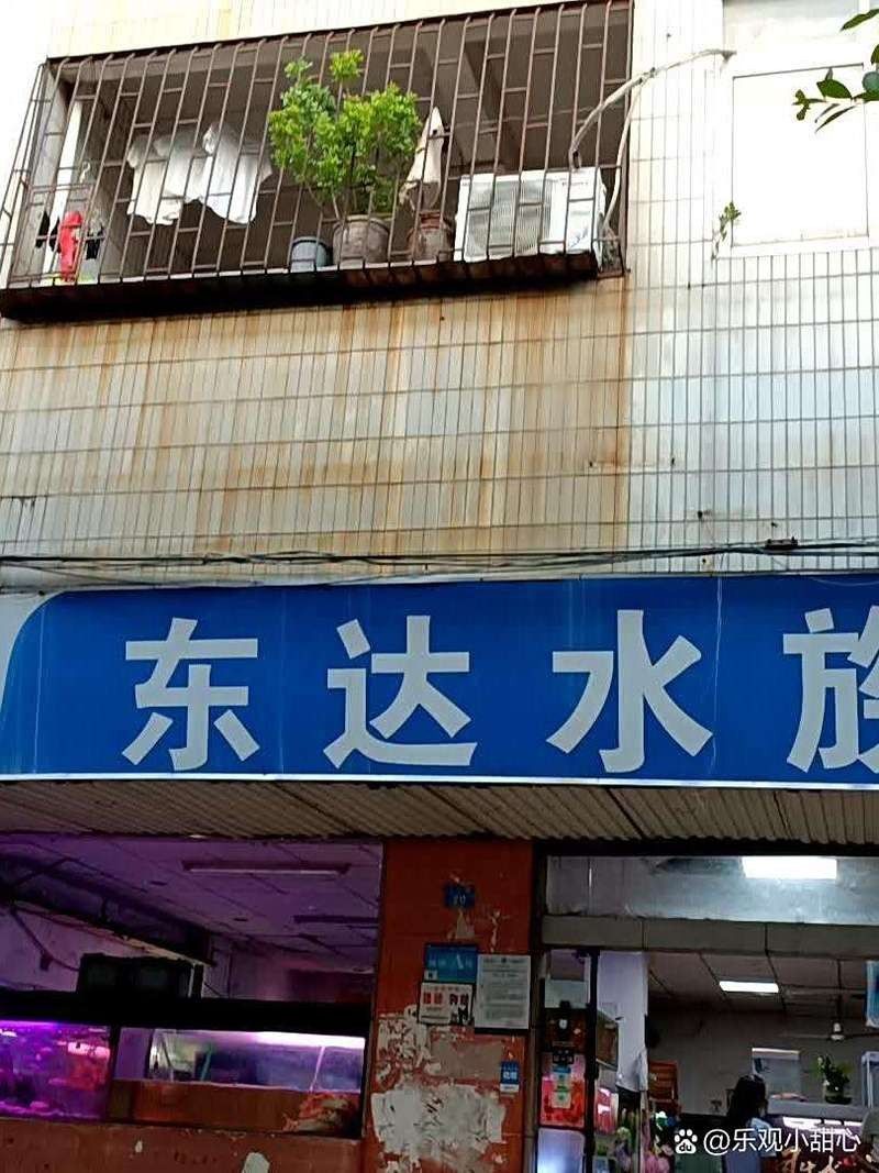南山哪個水族館龍魚好？祥龍魚場龍魚（南山水族館祥龍魚場）