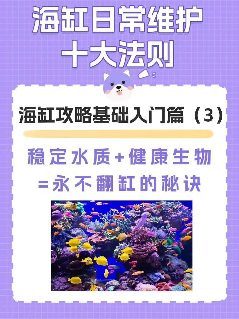 如何保持魚缸水質穩定