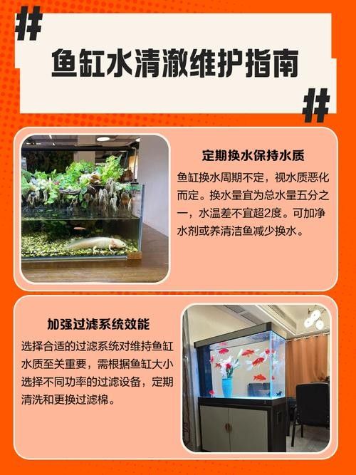 如何保持魚缸水質穩定