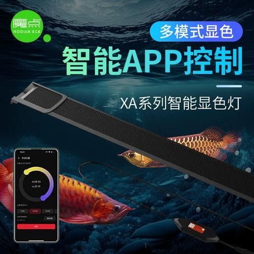 給我推薦幾款適合金龍魚的燈具（金龍魚燈具安裝技巧或發色原理解析[emoji[需手動填充]1f338[[需手動填充]emoji[需手動填充]）