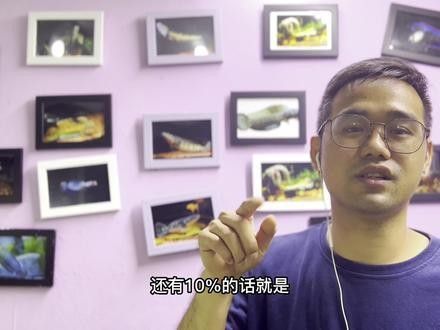 上海龍魚大賽的未來發(fā)展方向（上海龍魚大賽未來發(fā)展方向）