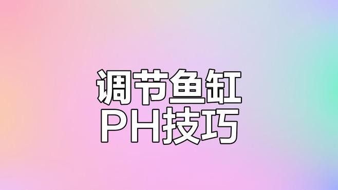 混養時需要注意哪些水質參數？