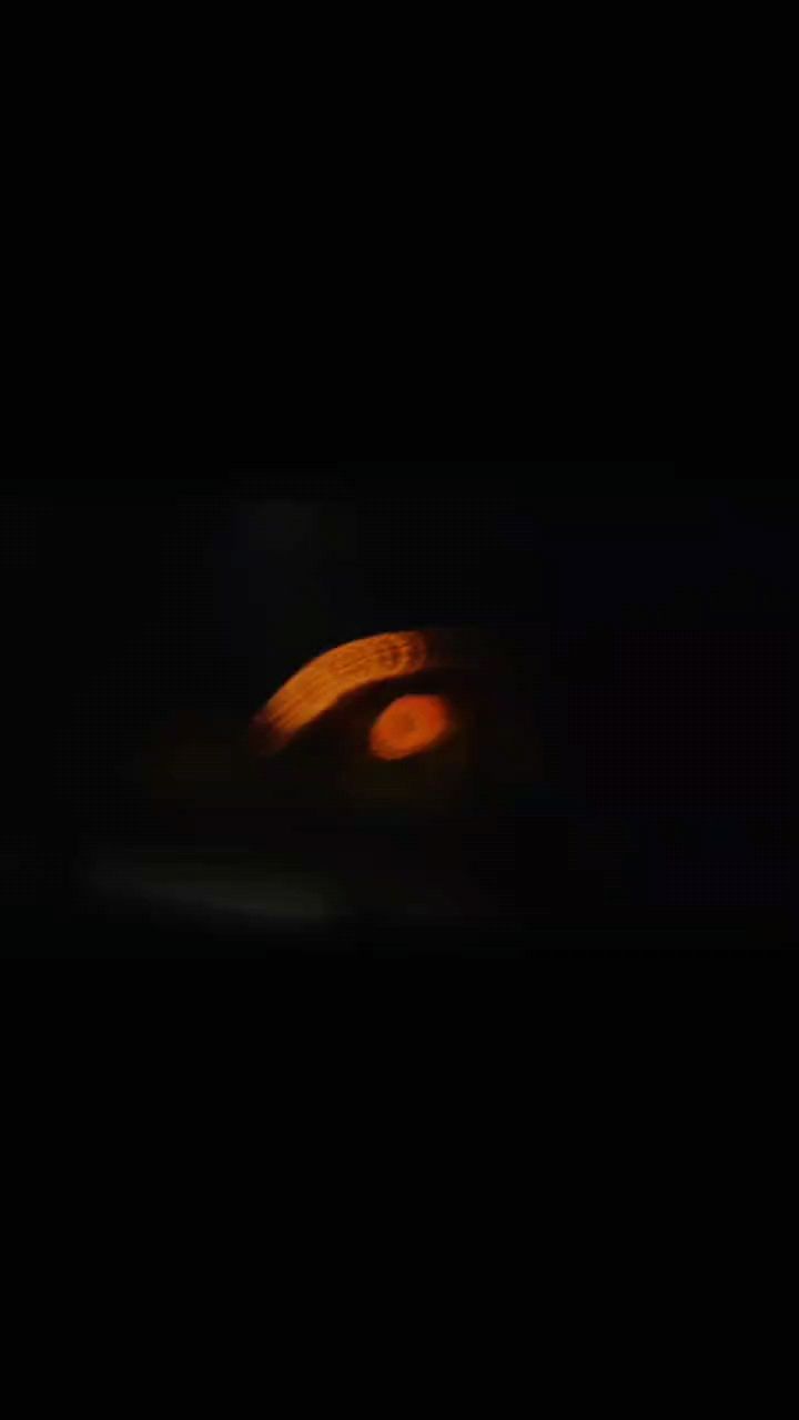 神龍出龕（關于神龍出龕的一段話）