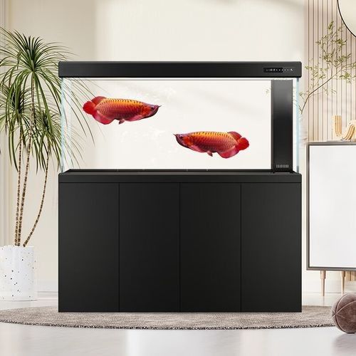給我推薦一些高端龍魚缸品牌（漢霸大型龍魚缸家用辦公室智能魚缸品牌推薦：高端龍魚缸）