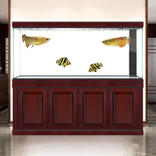 給我推薦一些高端龍魚缸品牌（漢霸大型龍魚缸家用辦公室智能魚缸品牌推薦：高端龍魚缸）