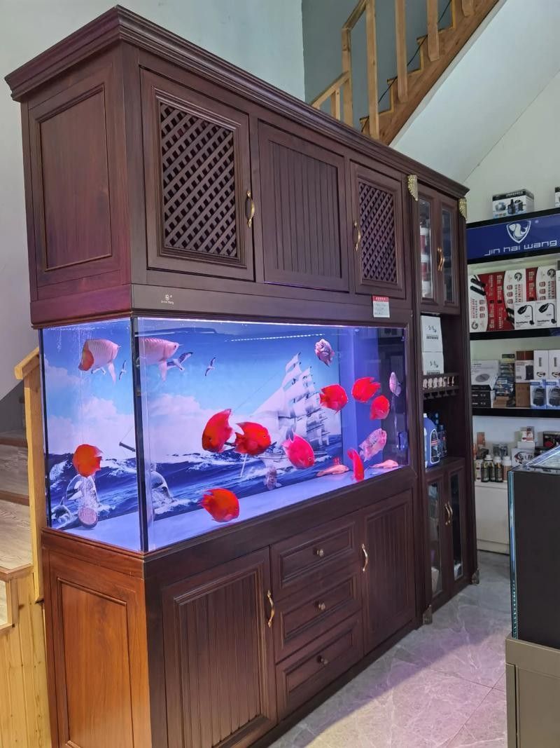 給我推薦一些高端龍魚缸品牌（漢霸大型龍魚缸家用辦公室智能魚缸品牌推薦：高端龍魚缸）