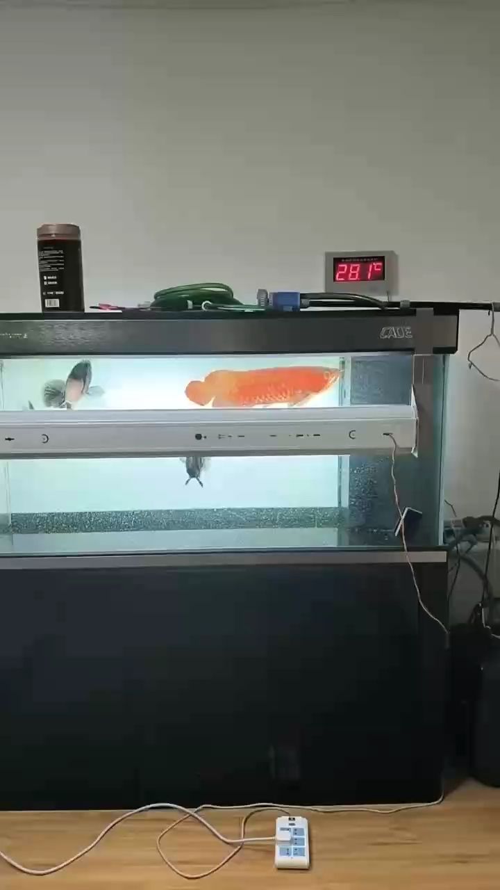 （全球氣候變化對農業產生了深遠的影響）