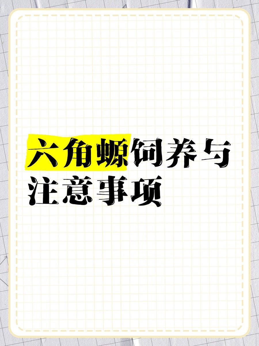 六角恐龍多久換一次水？（六角恐龍多久換一次水）