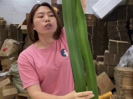 簕古葉如何裝飾擺盤？（如何用簕古葉來裝飾擺盤）