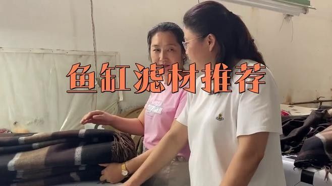 哪種過(guò)濾材料最適合新手使用（魚缸濾材怎么選介紹） 哪種過(guò)濾材料最適合新手使用（魚缸濾材怎么選介紹） 龍魚百科 第1張