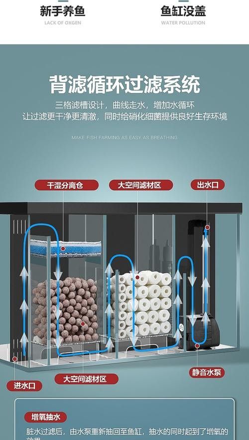 哪種過(guò)濾材料最適合新手使用（魚缸濾材怎么選介紹） 哪種過(guò)濾材料最適合新手使用（魚缸濾材怎么選介紹） 龍魚百科 第8張