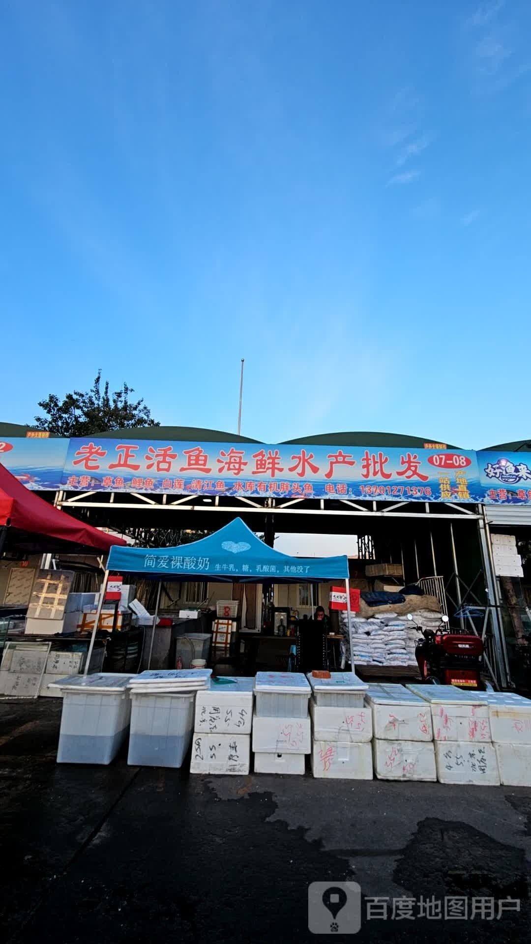 給我推薦幾家信譽好的龍魚批發商（信譽良好的龍魚批發商推薦）