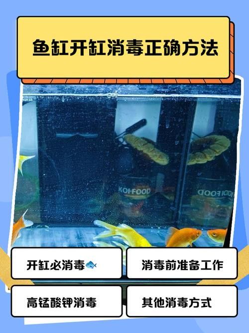 如何預防龍魚缸里的白色線蟲？（如何有效預防魚缸里的白色線蟲）