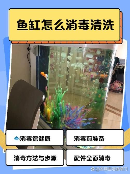 如何預防龍魚缸里的白色線蟲？（如何有效預防魚缸里的白色線蟲）
