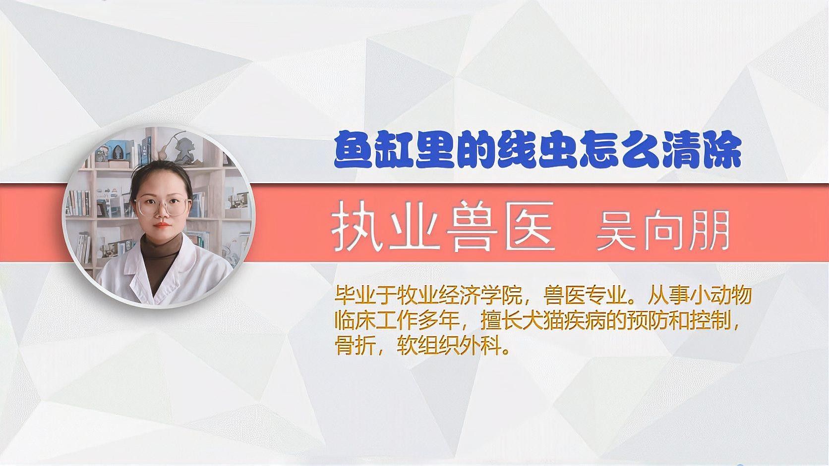 如何預防龍魚缸里的白色線蟲？（如何有效預防魚缸里的白色線蟲）