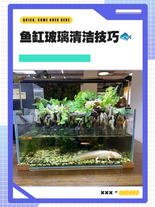 如何預防龍魚缸里的白色線蟲？（如何有效預防魚缸里的白色線蟲）