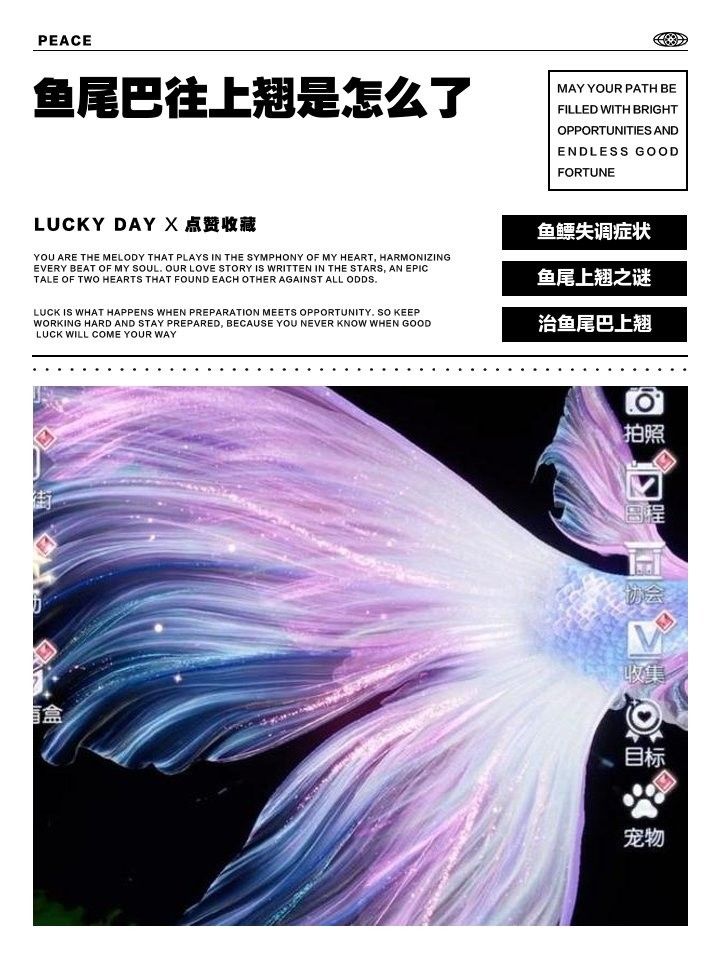 如何判斷龍魚尾巴上翹的原因（魚尾巴往上翹是怎么了）