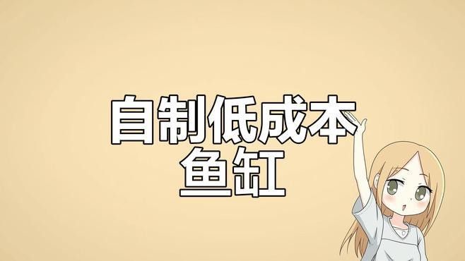 如何制作迷你生態魚缸？（養魚日記——從零開始的佛系養魚生活）