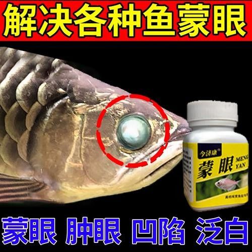 龍魚充血和刮傷后應(yīng)該如何護(hù)理（養(yǎng)魚老道，龍魚受傷恢復(fù)全攻略，水質(zhì)調(diào)節(jié)與護(hù)理技巧數(shù)字音符）