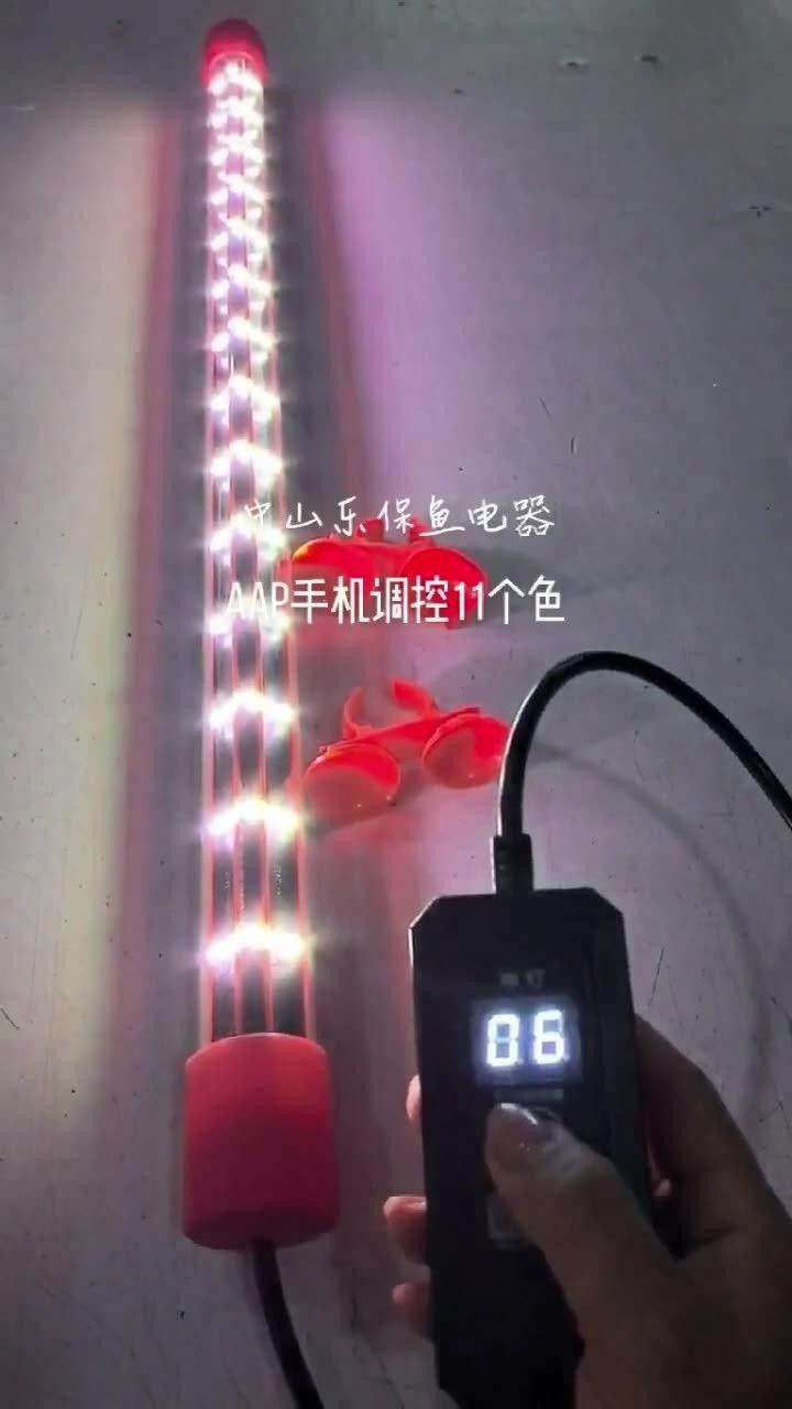 龍魚燈需要哪些配件（光彩聯盟水族燈安裝全攻略久鼎螢火蟲龍魚燈安裝全流程）