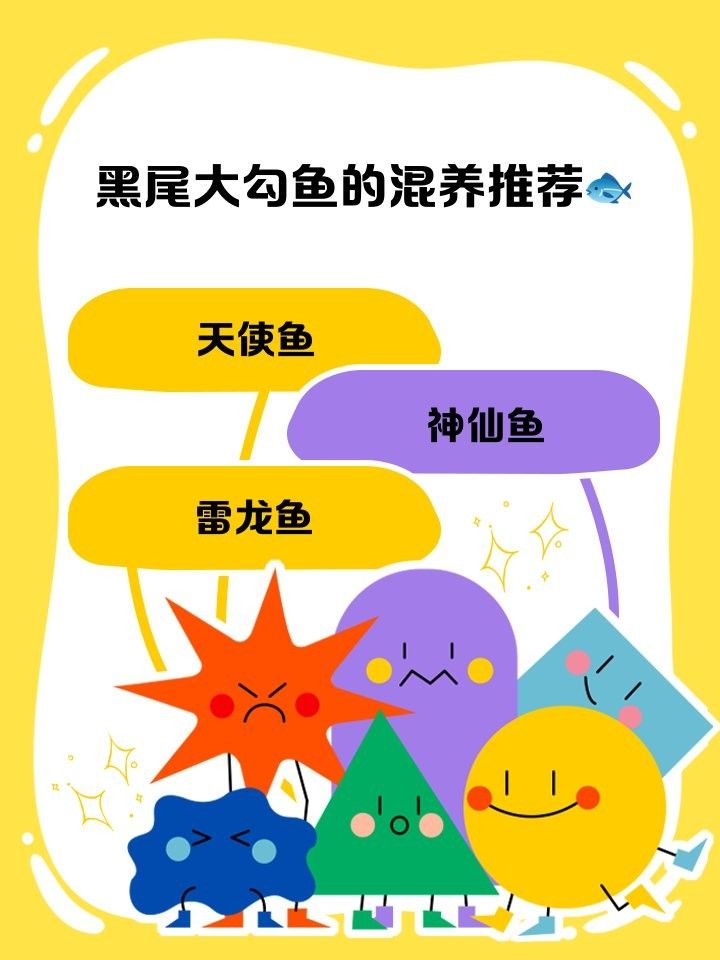 有哪些適合與黑魚混養的魚類？（與黑魚混養的魚類）