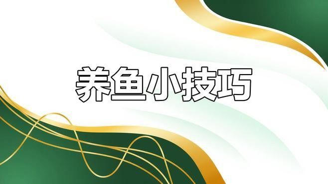 哪種藥物治療紅龍魚蒙眼病最有效（紅龍魚蒙眼病治療紅龍魚蒙眼病的具體步驟是什么）