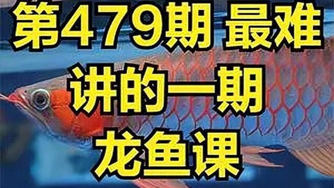 如何保持紅龍魚發色？（如何保持紅龍魚的發色）