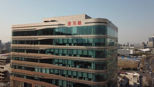 如何聯系金龍魚官方客服（如何通過郵件聯系金龍魚官方客服？）