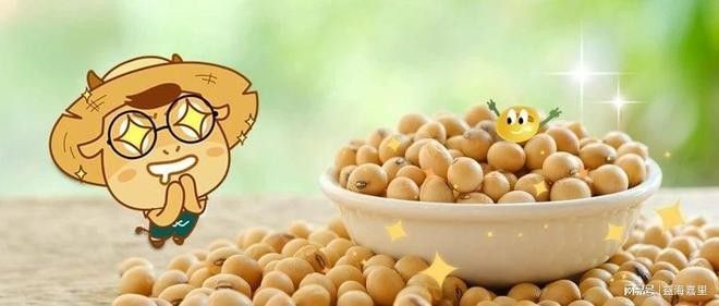 金龍魚的主要產(chǎn)品有哪些（金龍魚主要產(chǎn)品）