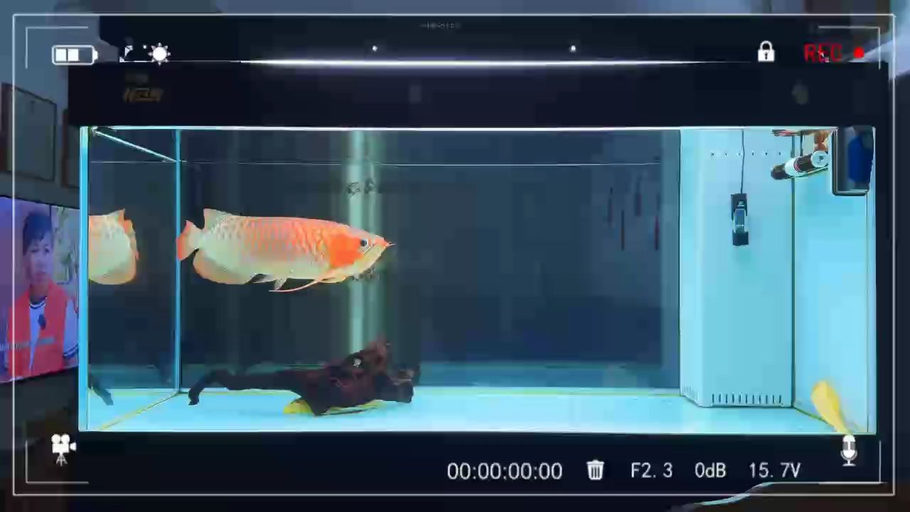 新一輪發色開始了（發色趨勢更新換代）