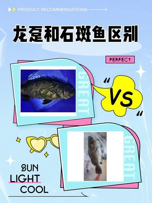 如何挑選新鮮的斑紋龍魚（如何挑選新鮮的斑紋龍魚，挑選新鮮的斑紋龍魚的技巧和建議） 如何挑選新鮮的斑紋龍魚（如何挑選新鮮的斑紋龍魚，挑選新鮮的斑紋龍魚的技巧和建議） 龍魚百科 第2張
