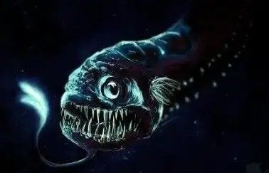 深海龍魚有哪些天敵？（哪些生物可能對深海龍魚構(gòu)成威脅？）