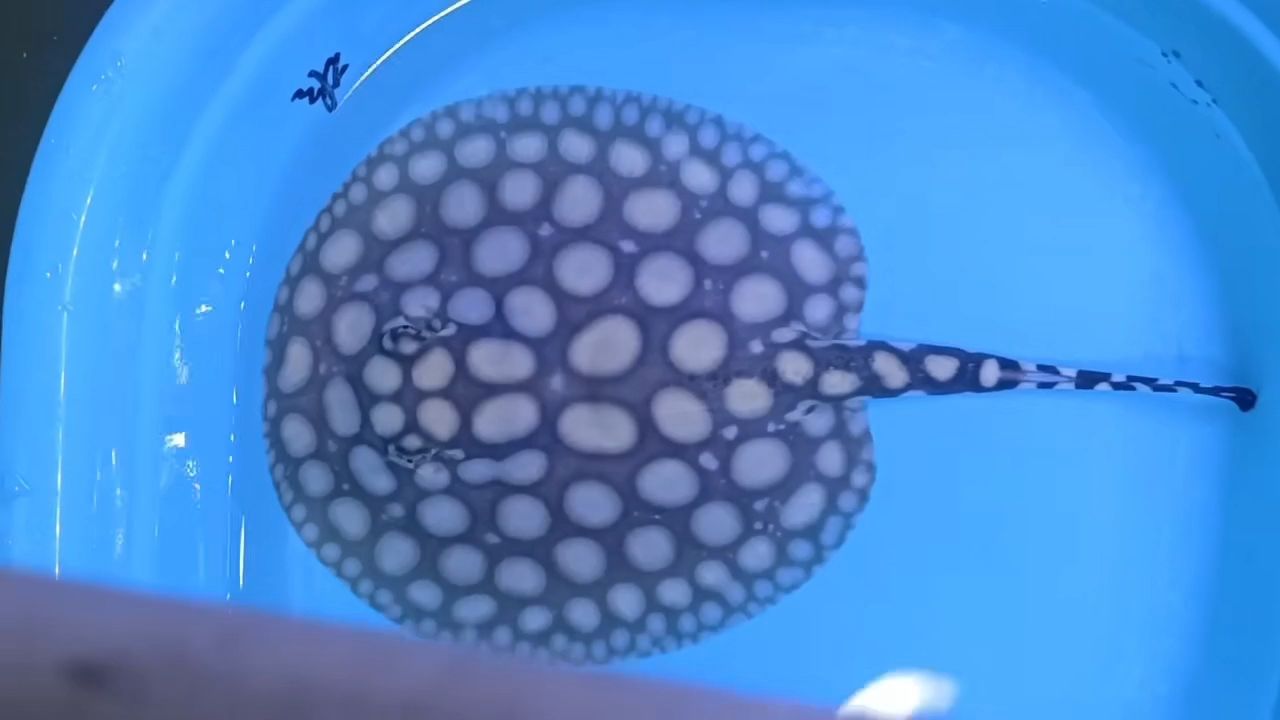 早安（早安祝福語錄）