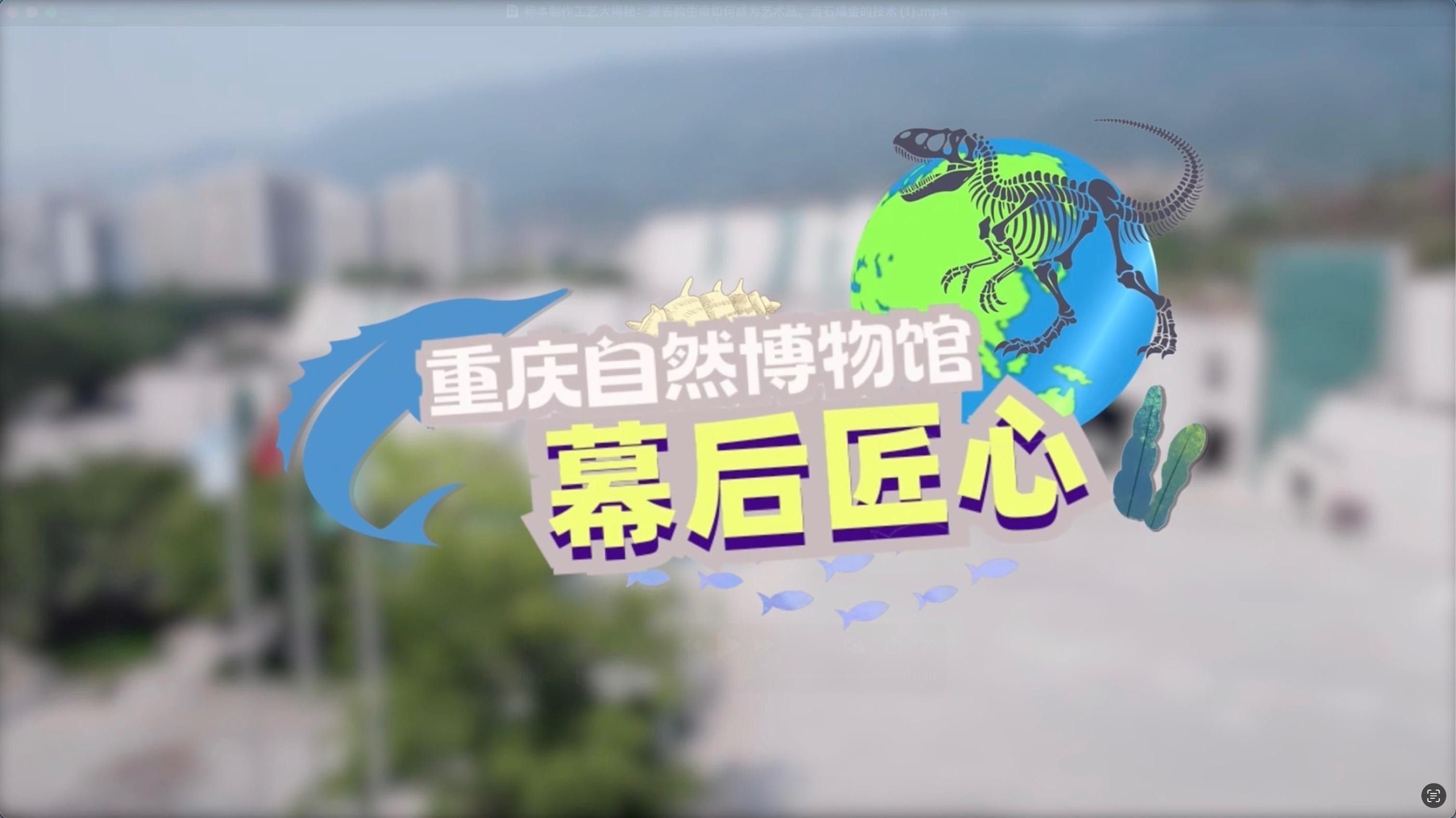 龍魚擺件修復需要多長時間（招財金龍魚擺件有什么推薦這幾款不錯!）