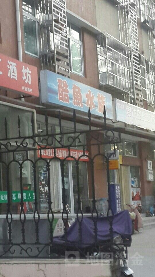 延長哪個水族館龍魚好？祥龍魚場龍魚