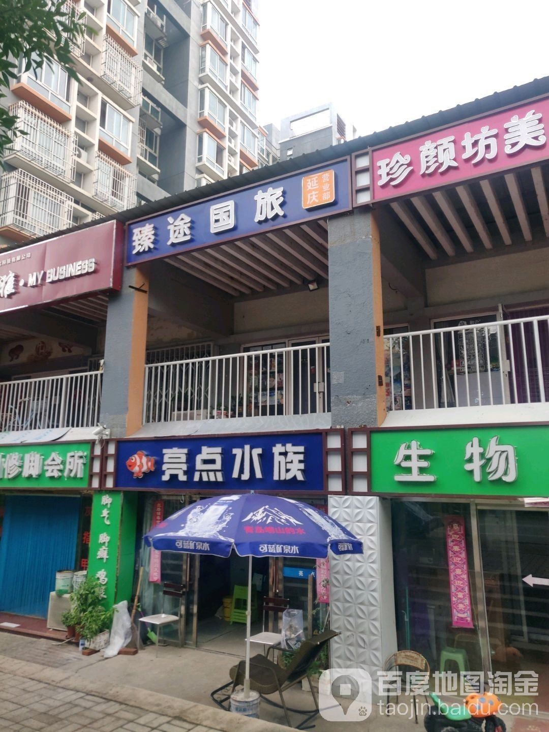 延長哪個水族館龍魚好？祥龍魚場龍魚