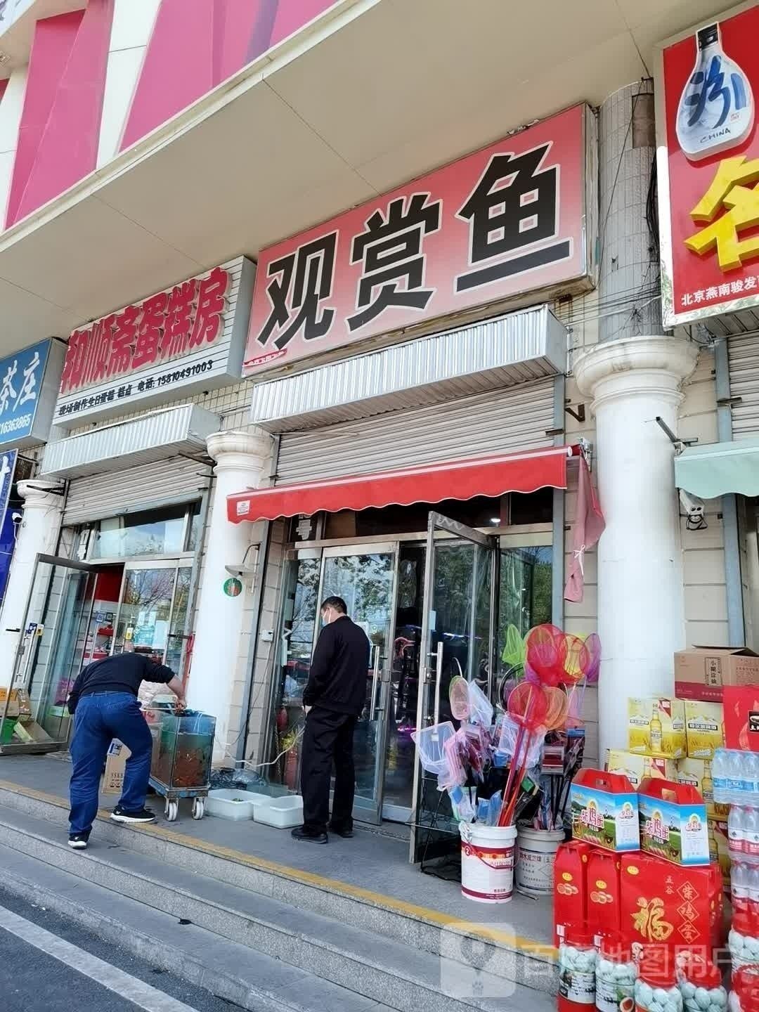 延長哪個水族館龍魚好？祥龍魚場龍魚