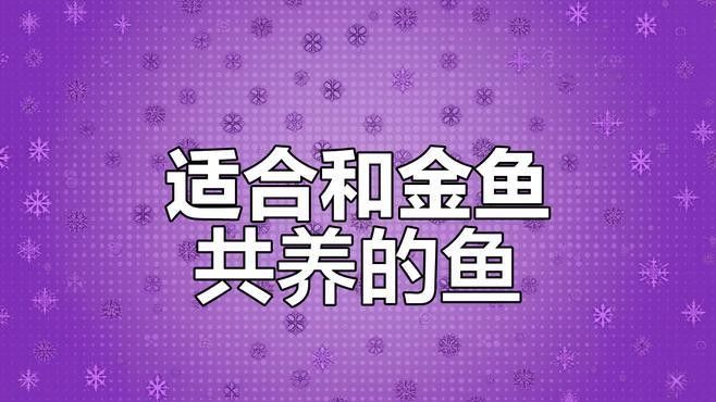 推薦一些適合混養(yǎng)的魚類（哪些小型魚可以混養(yǎng)警警通）