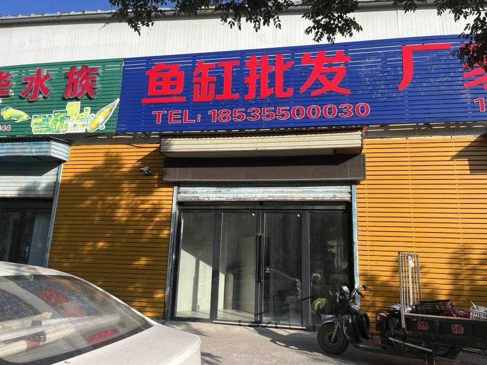 建華哪個水族館龍魚好？祥龍魚場龍魚（建華哪個水族館龍魚好）