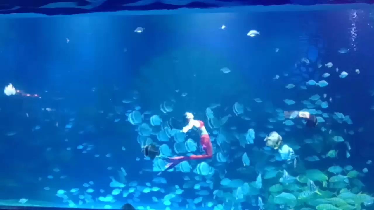 隨拍（金雞暢天下評論：隨拍的魅力在于其真實性和即時性）