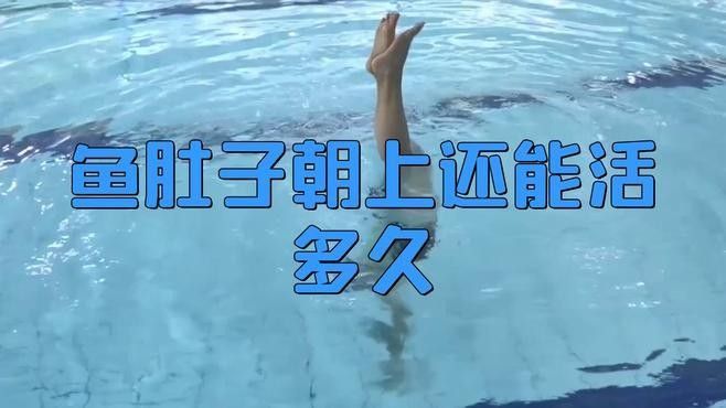 藍(lán)龍魚翻肚后多久會死（藍(lán)龍魚翻肚后多久會死，藍(lán)龍魚翻肚后還能活多久）