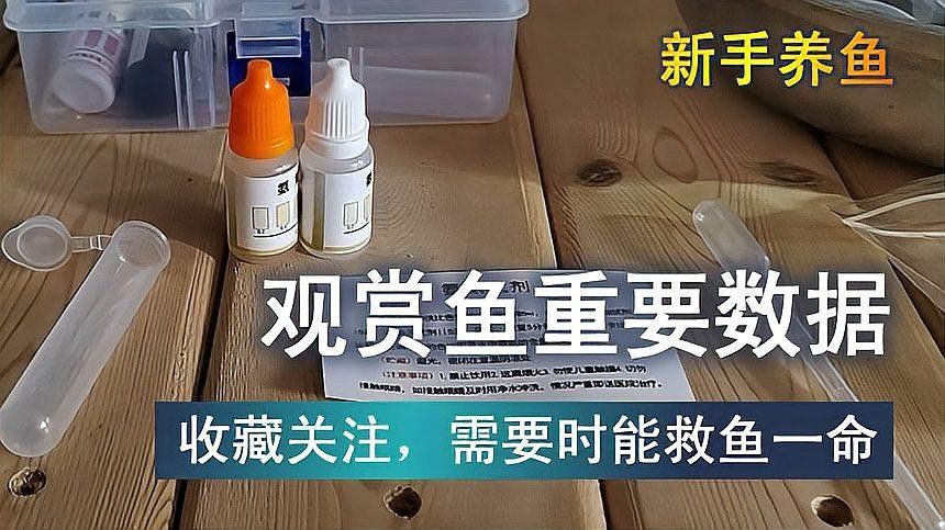 哪種龍魚對水質波動最敏感（王小乖養魚圈子龍魚對水質波動最敏感）