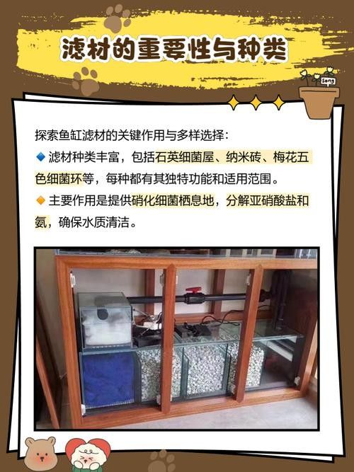 龍魚缸濾材擺放圖示（龍魚缸濾材擺放方法）