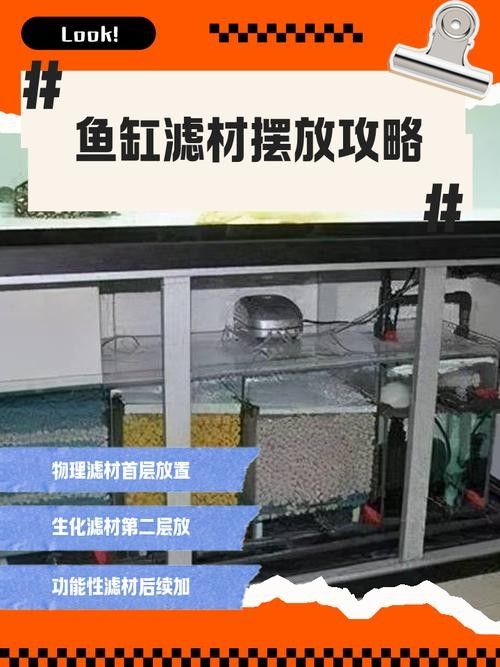 龍魚缸濾材擺放圖示（龍魚缸濾材擺放方法）