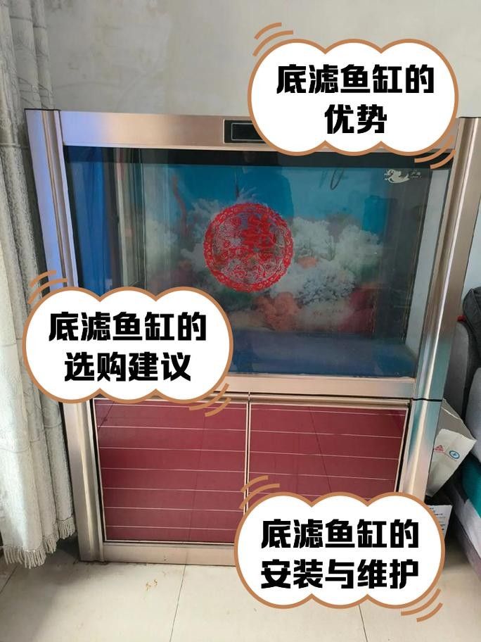 龍魚缸濾材擺放圖示（龍魚缸濾材擺放方法）