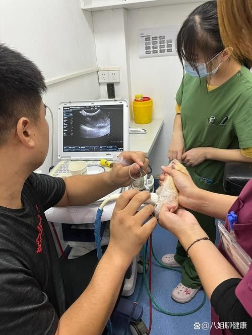 抽腹水后如何預(yù)防感染？