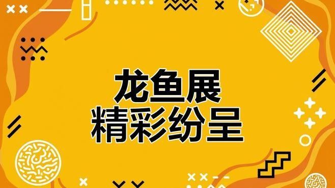 濱城哪個(gè)水族館龍魚好？祥龍魚場(chǎng)龍魚（上海海洋水族館龍年新春“龍魚”與游客一起迎接龍年新民晚報(bào)）